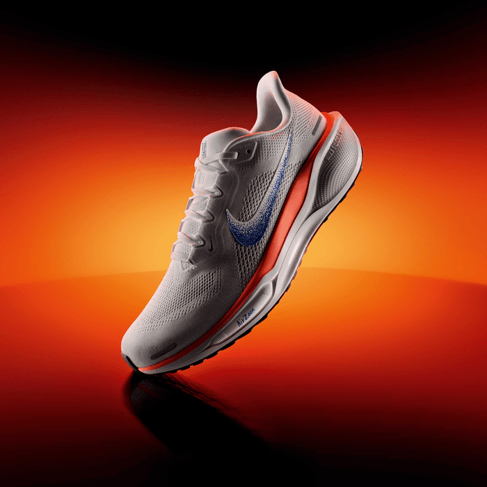 Nike Pegasus 41